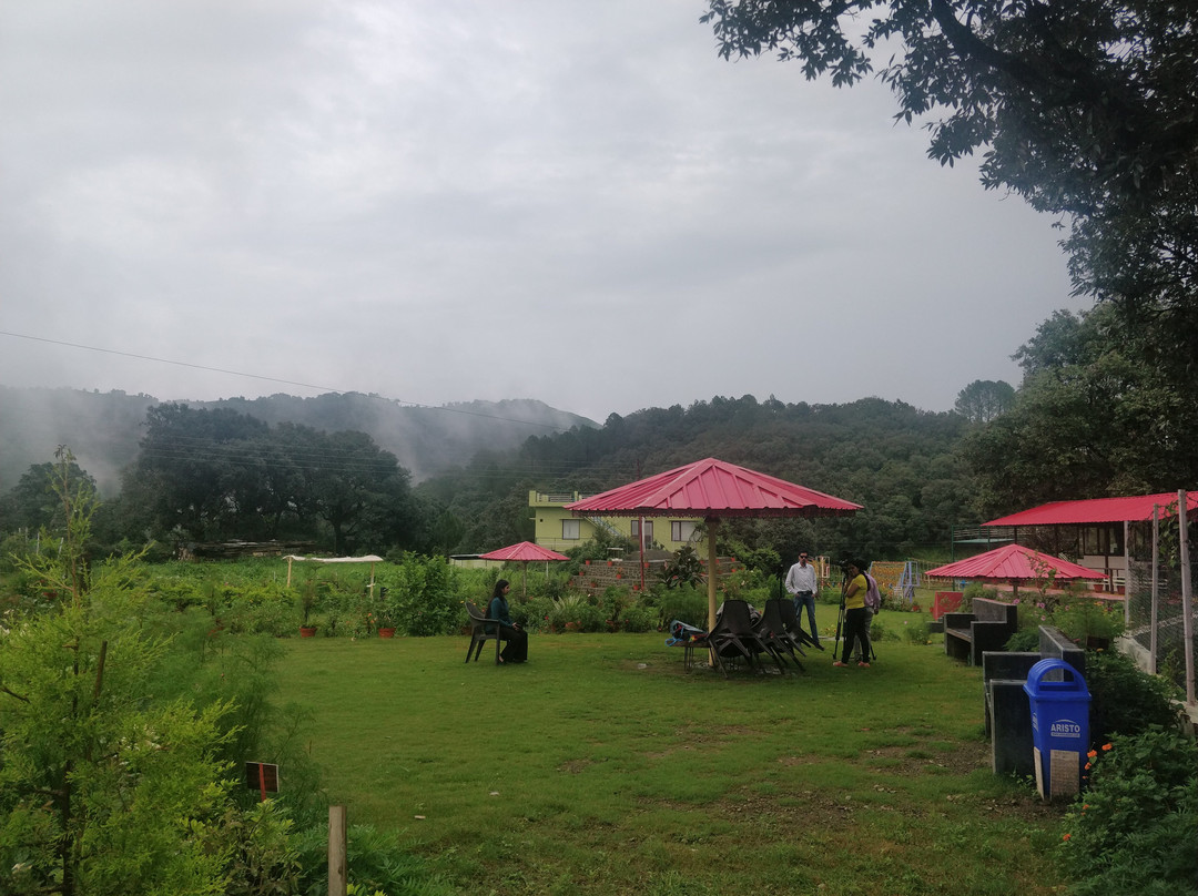 Charekh Food and Forest Resort主图