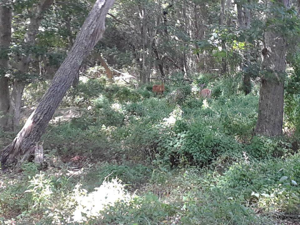 South Fork Natural History Museum-Bridgehampton必去景点