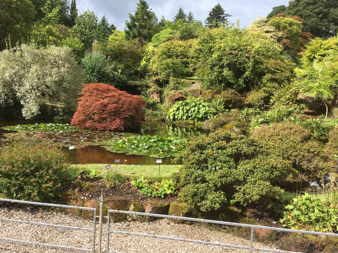 The Bute House Hotel主图