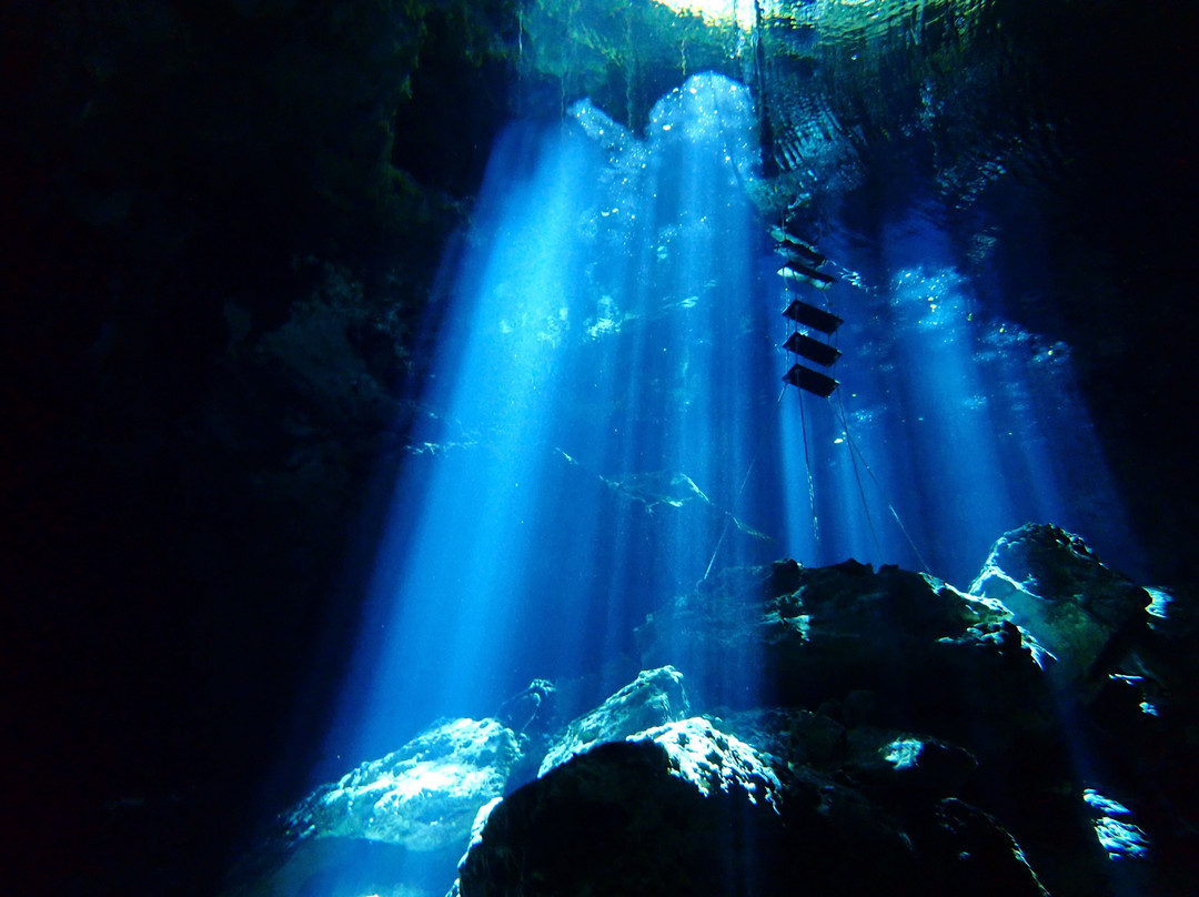 Dive Cenotes Mexico-艾库玛尔必去景点