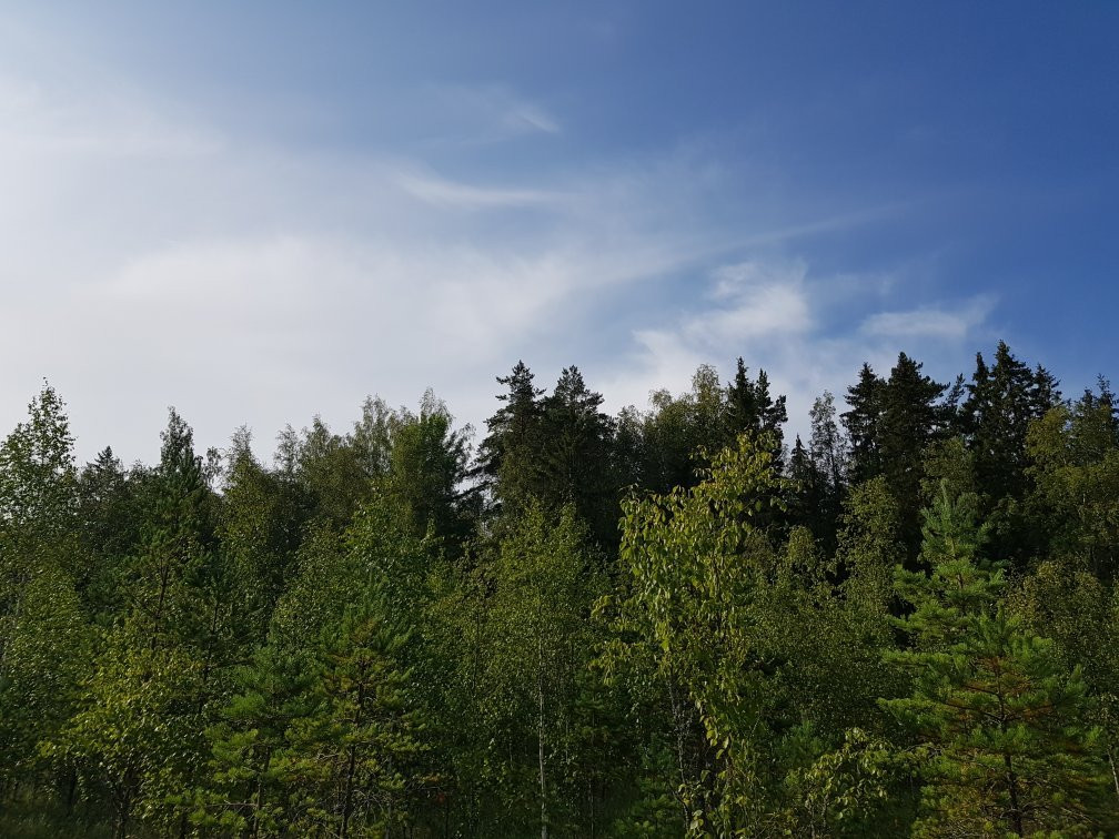 Kurjenrahka National Park-Poytya必去景点