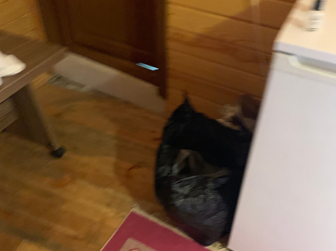 Uzungol Duyuf Hotel主图