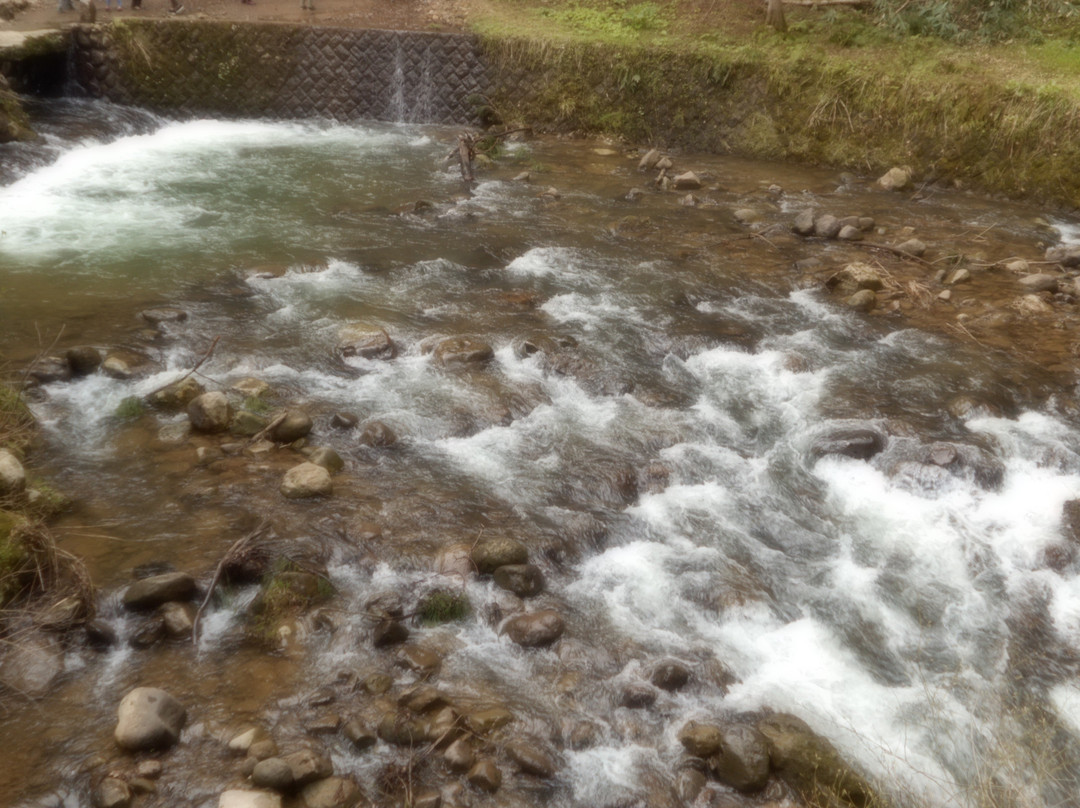 Harai River and Suga Waterfall景点图片