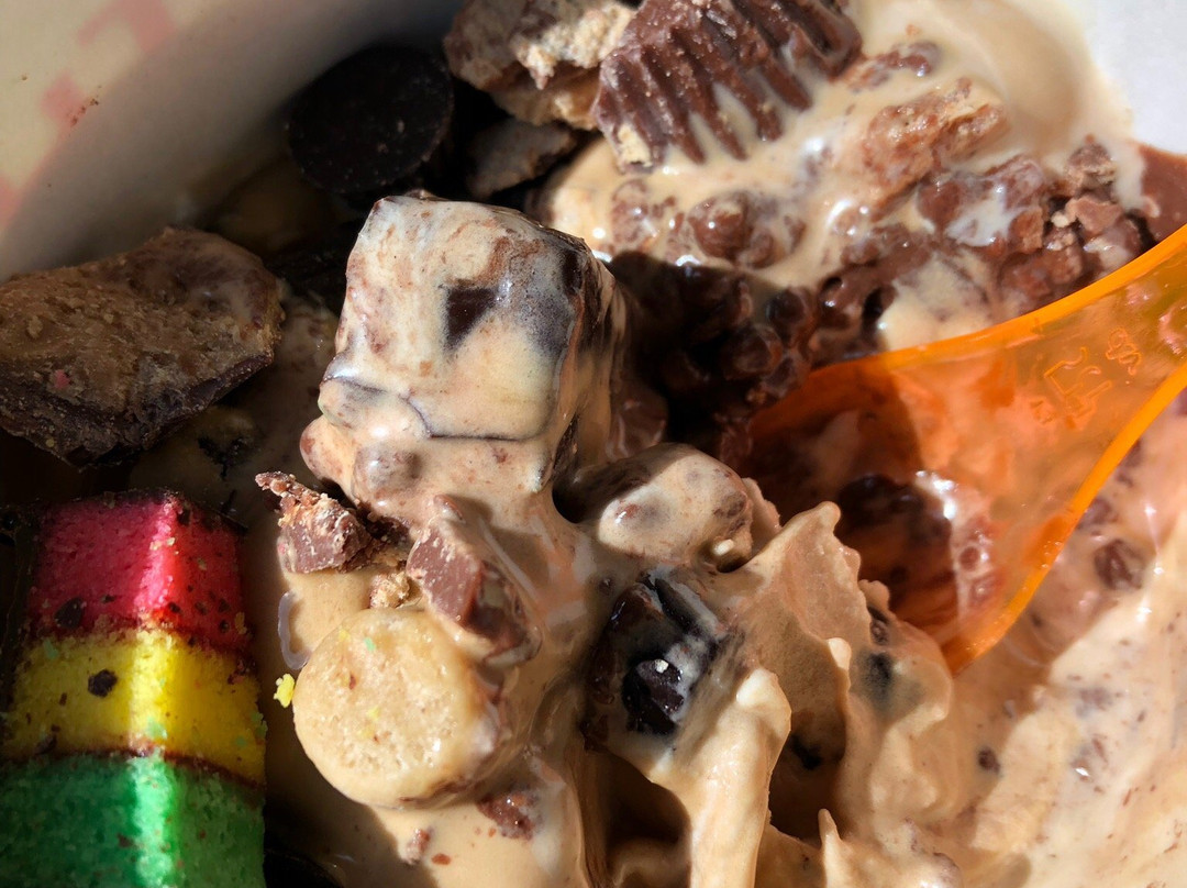 Catch The Wave The Ultimate Yogurt Experience