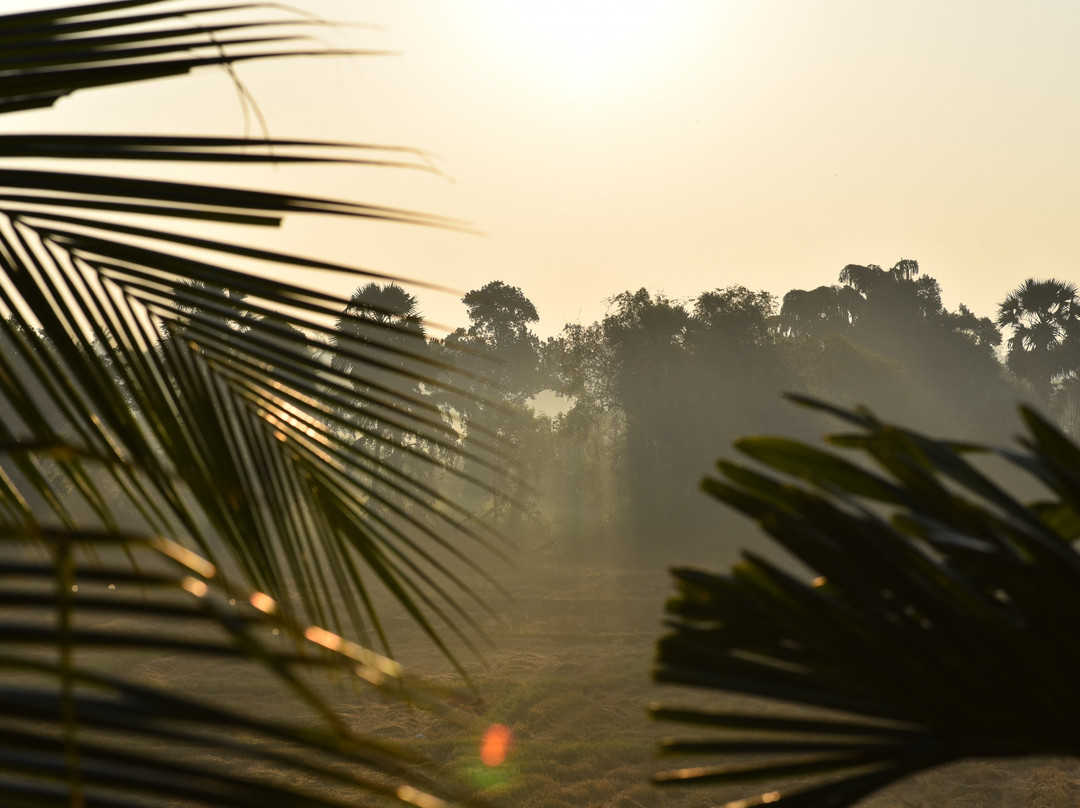 Heaven Upon Rice Fields主图