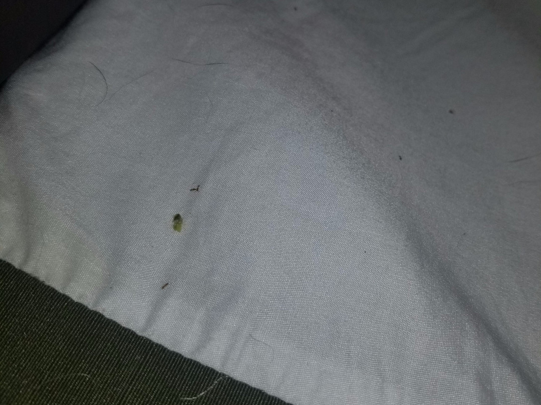 Best Western Luxbury Inn Fort Wayne主图