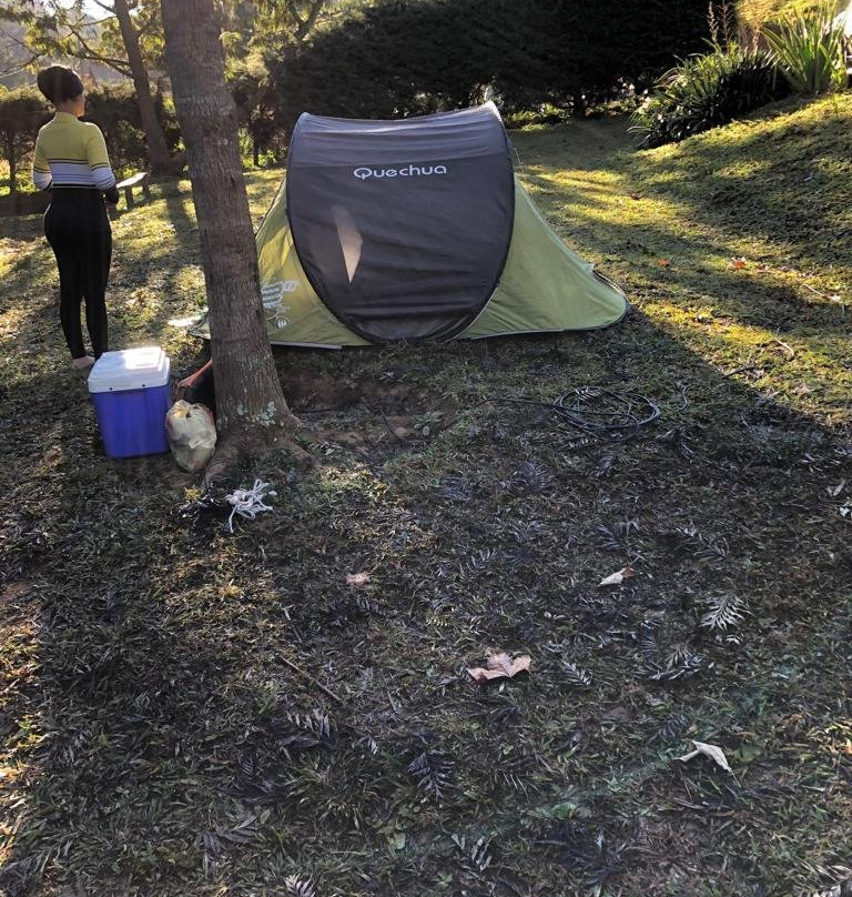 Monte Verde Cabañas & Camping