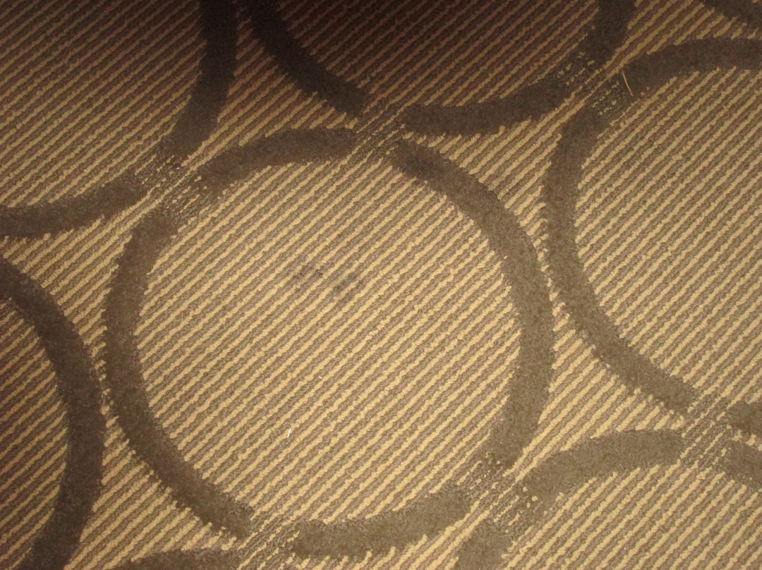 Comfort Inn Cobourg主图