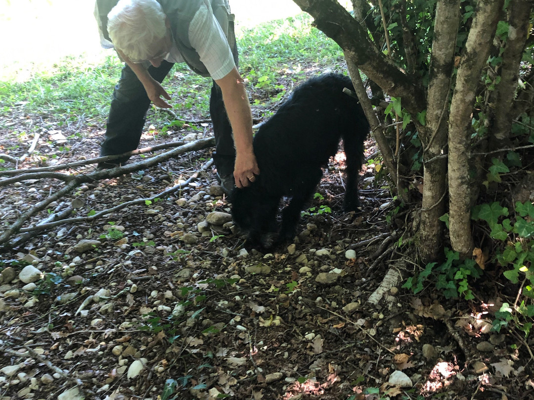 Tartufi Bianconi-卡斯泰洛城必去景点