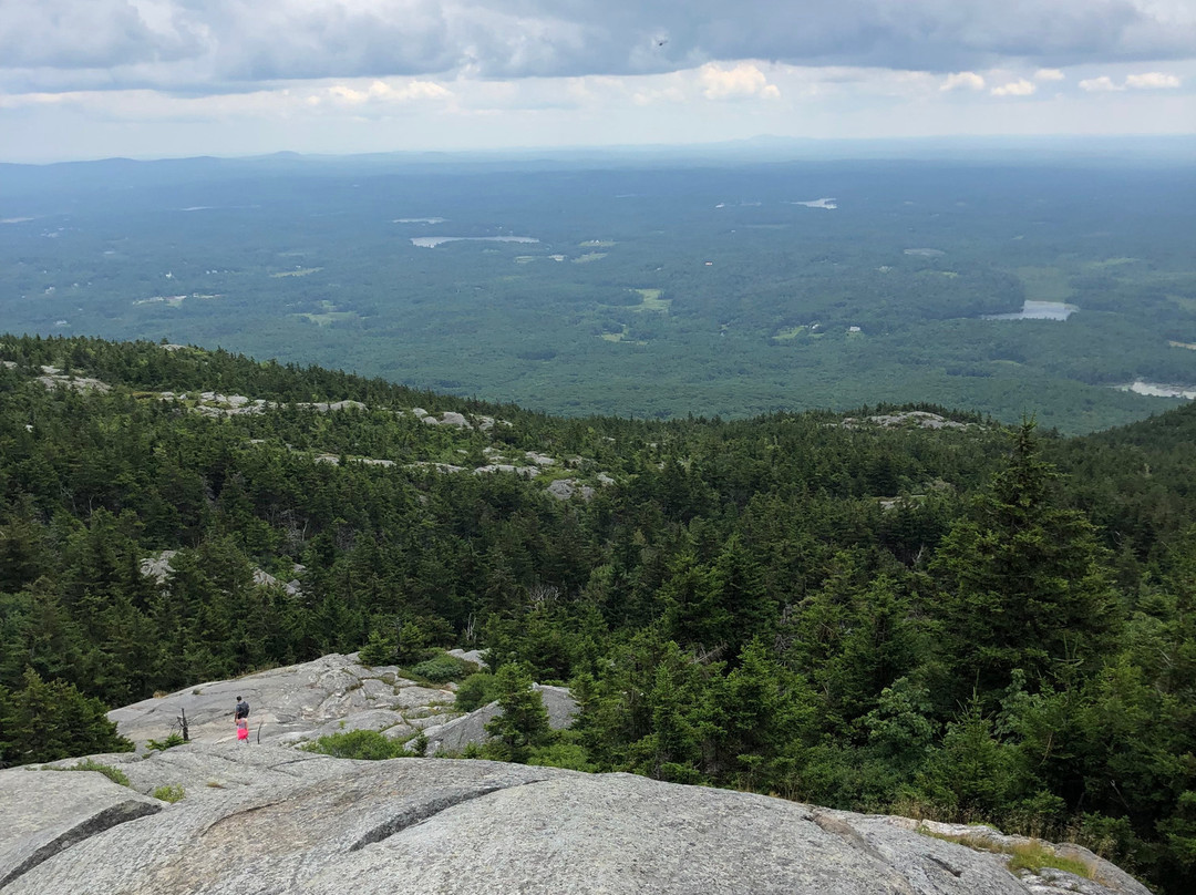 The Tartan Fox at the Meadmere主图