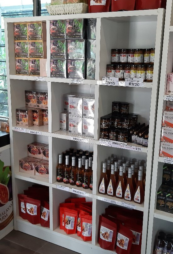 Pulau Santap-武吉丁宜高原必去景点