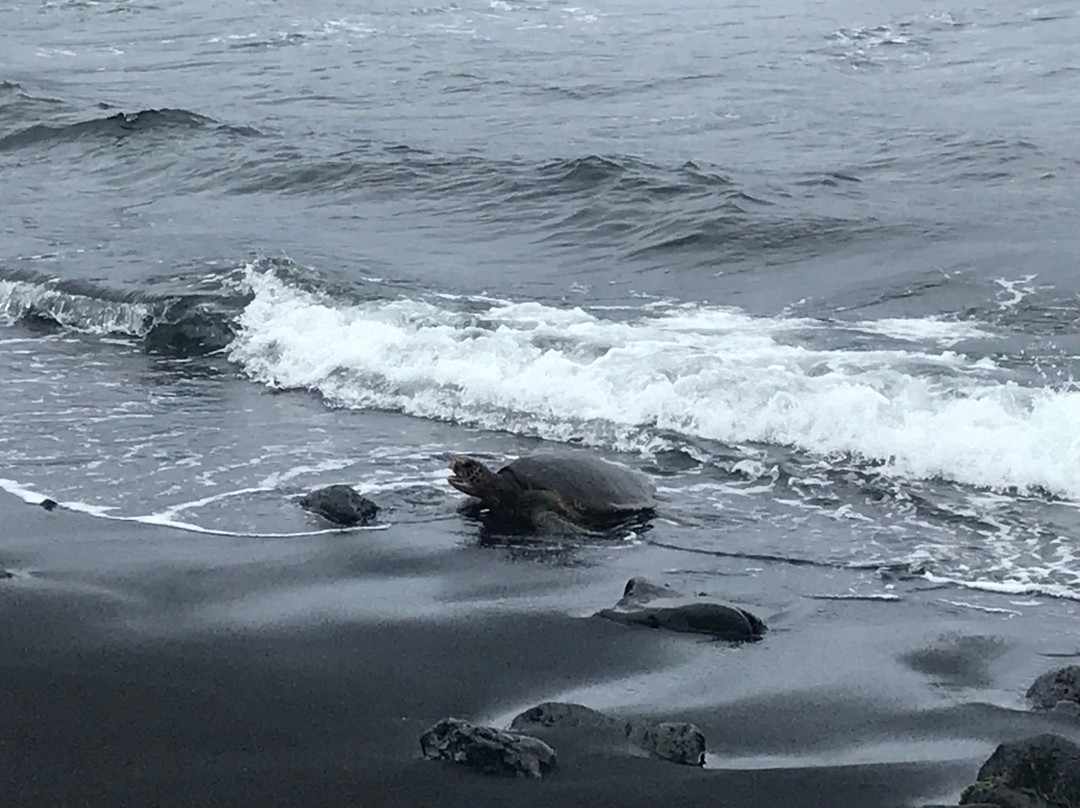 Big Island Day Tours-库克船长必去景点