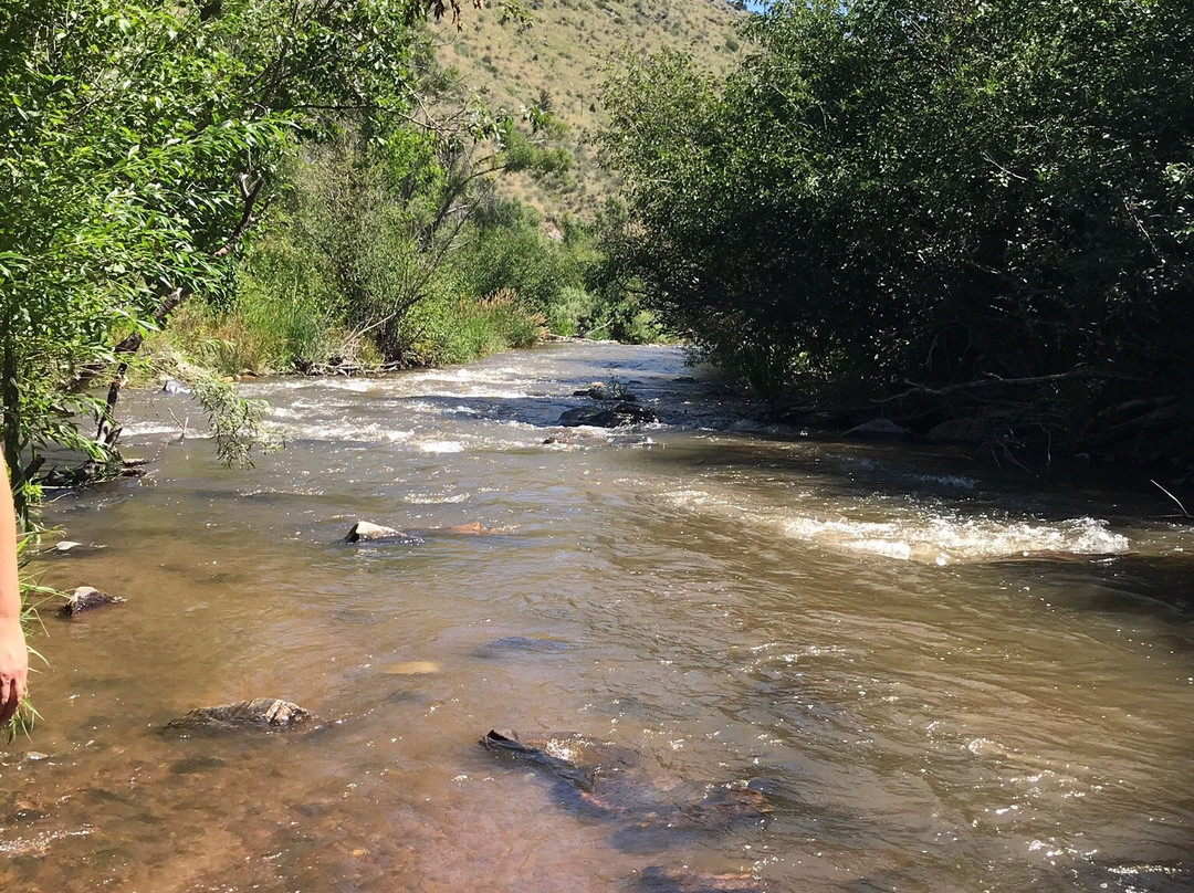 Lair O' the Bear Park-Morrison必去景点