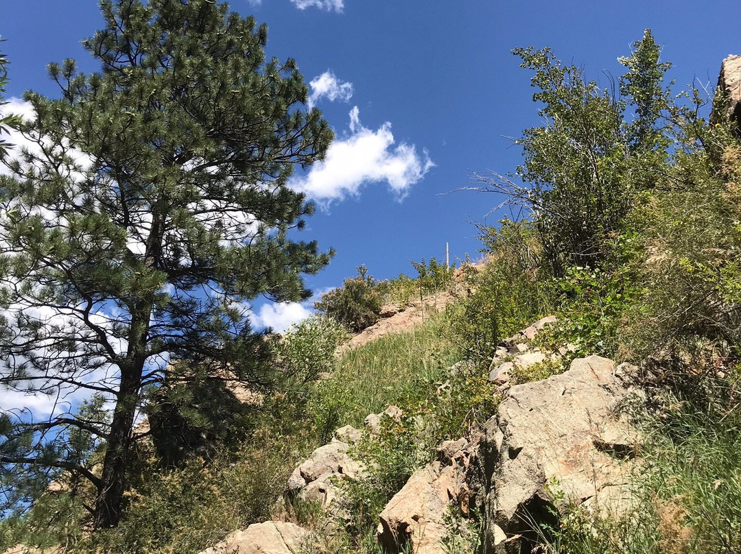 Lair O' the Bear Park-Morrison必去景点