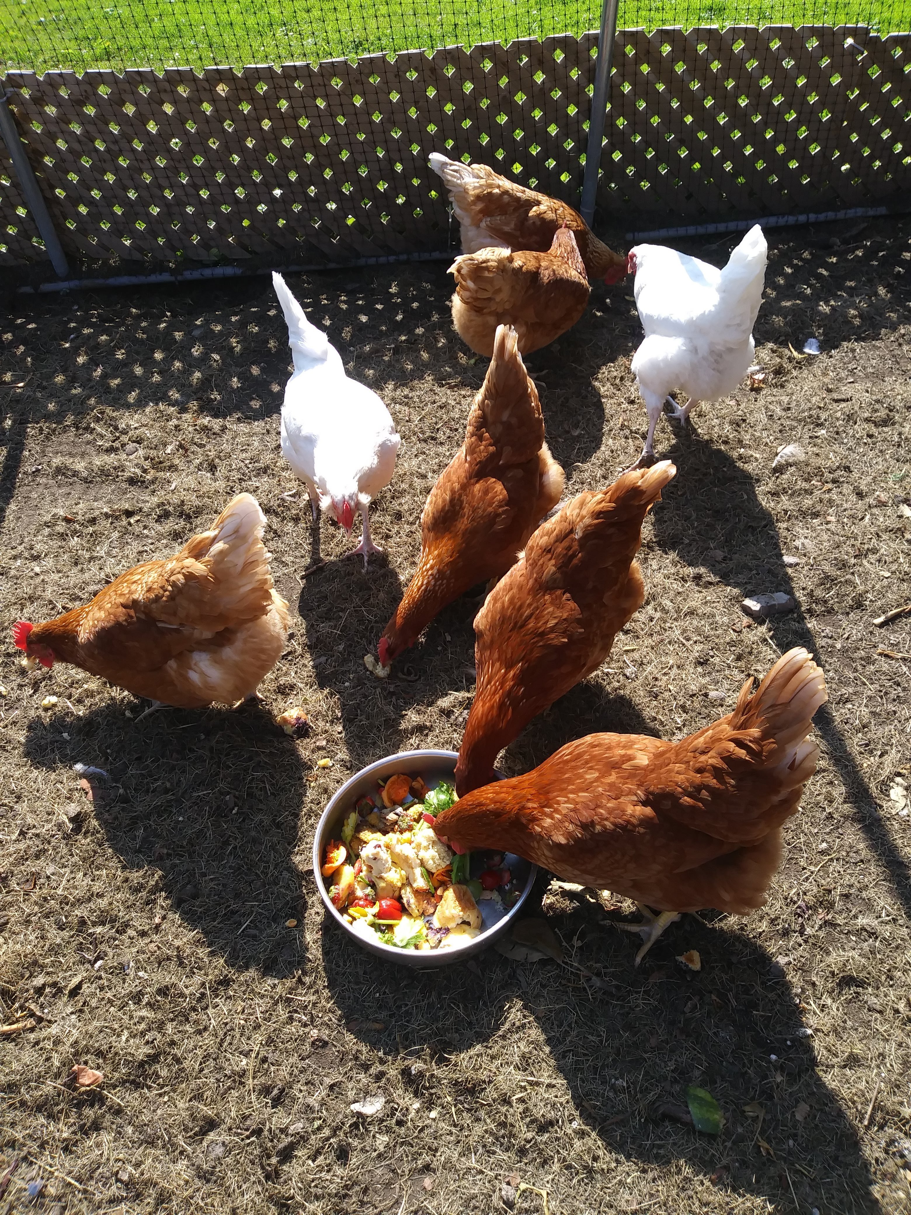 Cranberry House-官方