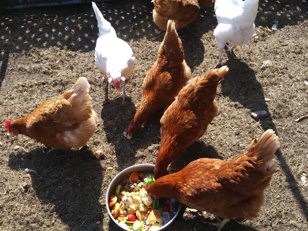 Cranberry House主图