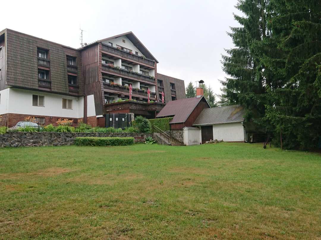 Hotel Pavla Vysocina主图