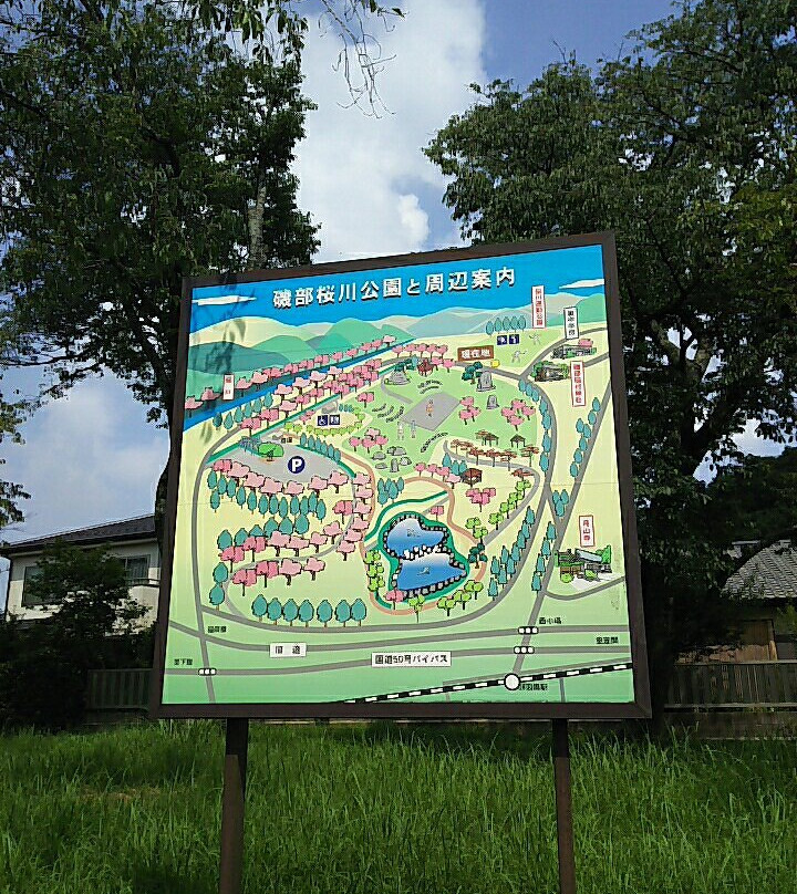 Isobe Sakuragawa Park-樱川市必去景点