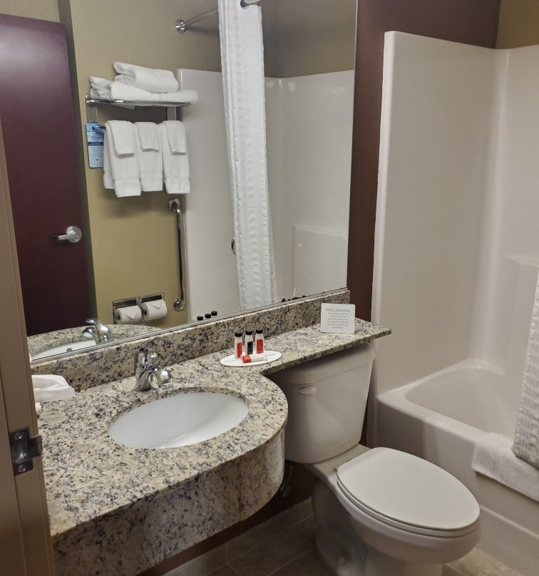 Microtel Inn & Suites by Wyndham Carrollton主图