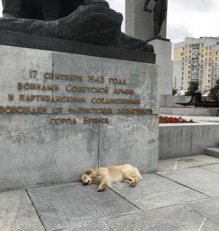 Bryansk State Local Lore Museum景点图片