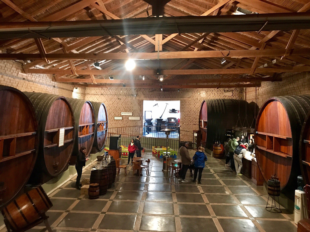 Bodega La Rural Wine Museum景点图片