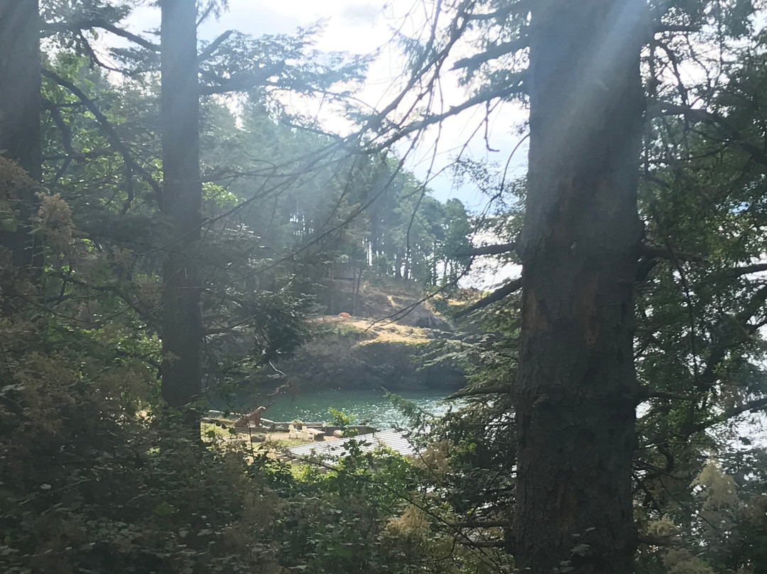 Doe Bay Resort & Retreat主图