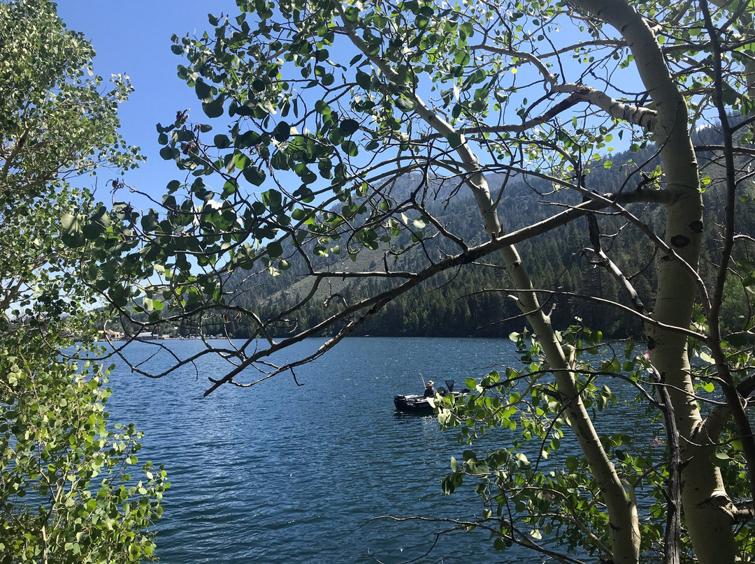 Gull Lake Marina-六月湖必去景点