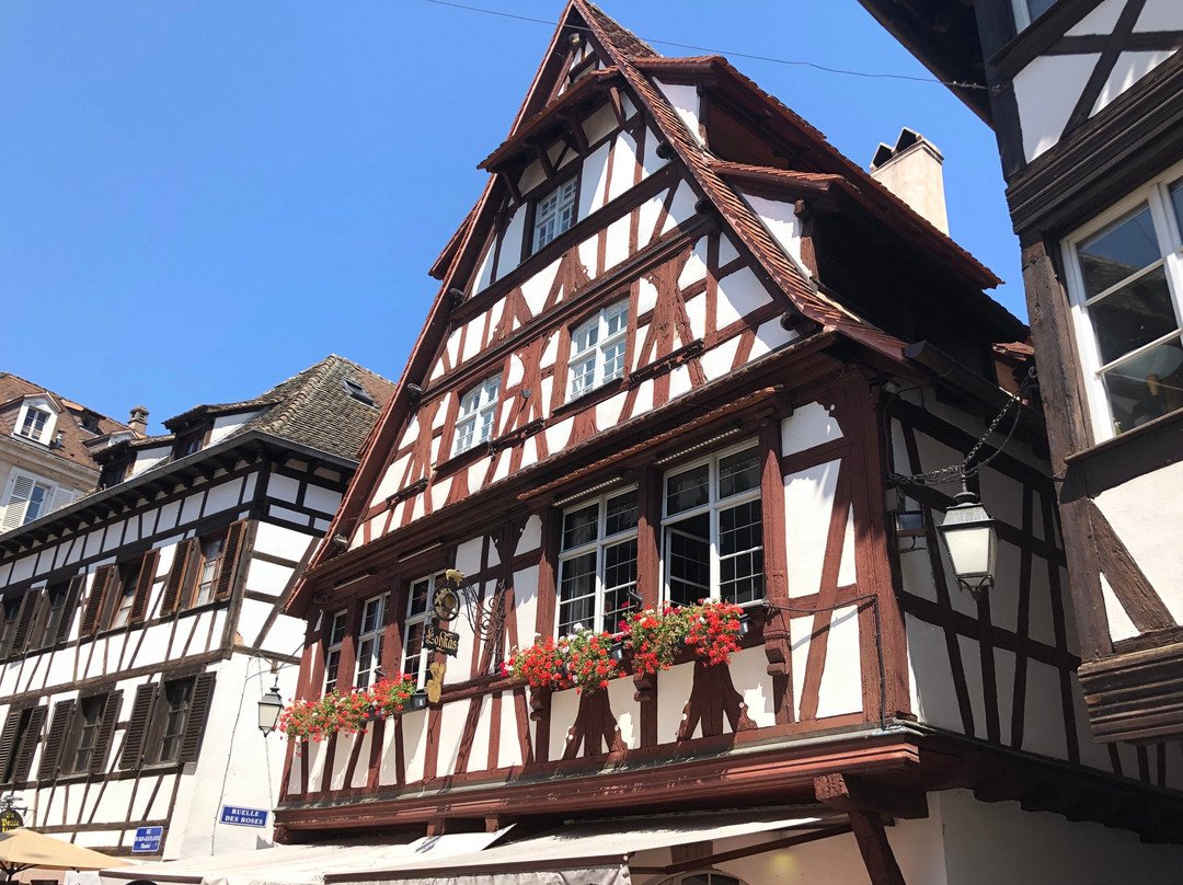 Free Tour Freiburg-佛莱堡必去景点