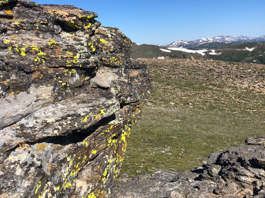 Tundra Communities Trail景点图片