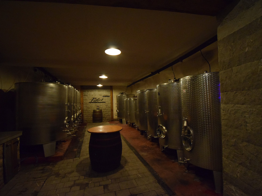 Petric Winery - Vipava景点图片