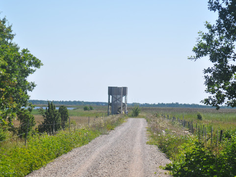 Loode Oak Forest-Lahekula必去景点