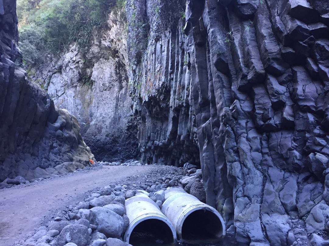 Les Gorges du Bras de la Plaine景点图片