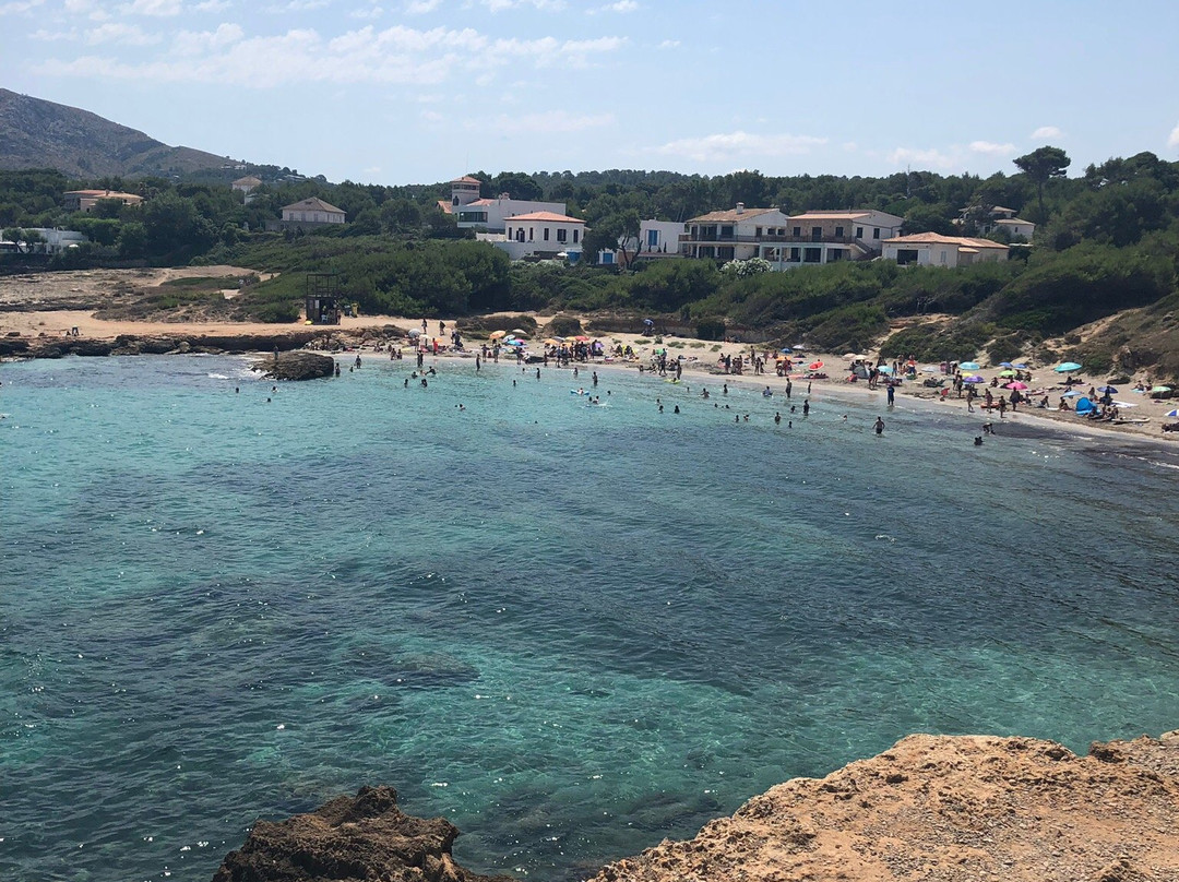 Playa de Sant Joan景点图片