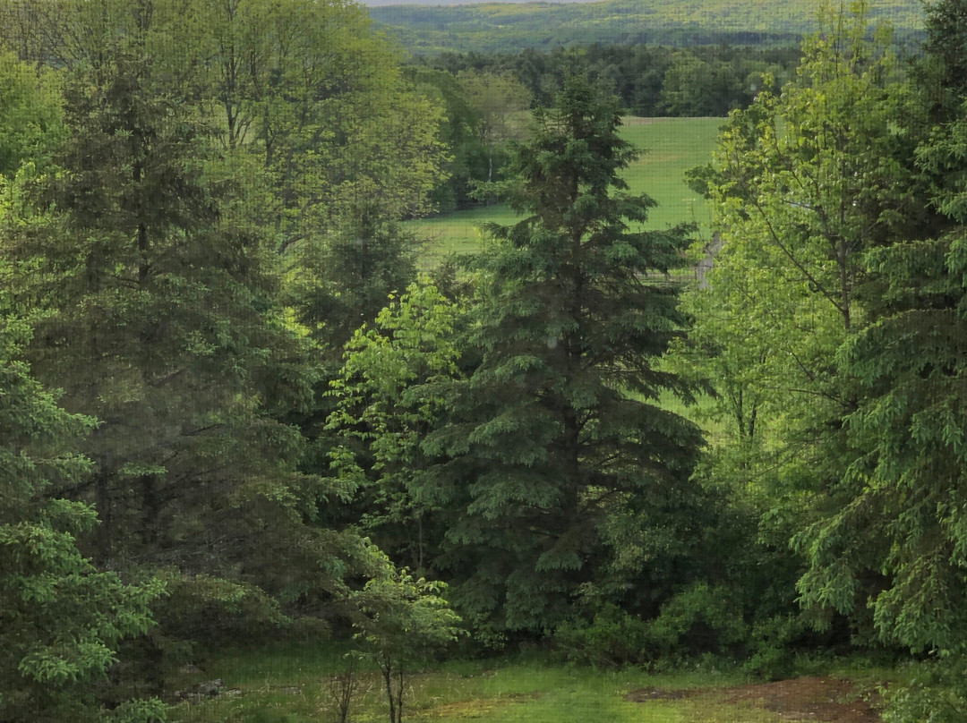 Benaaron Guest House主图