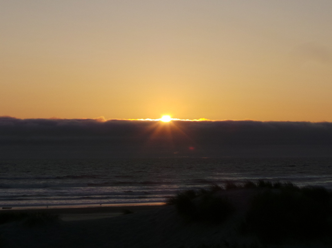 Driftwood Shores Resort & Conference Center主图