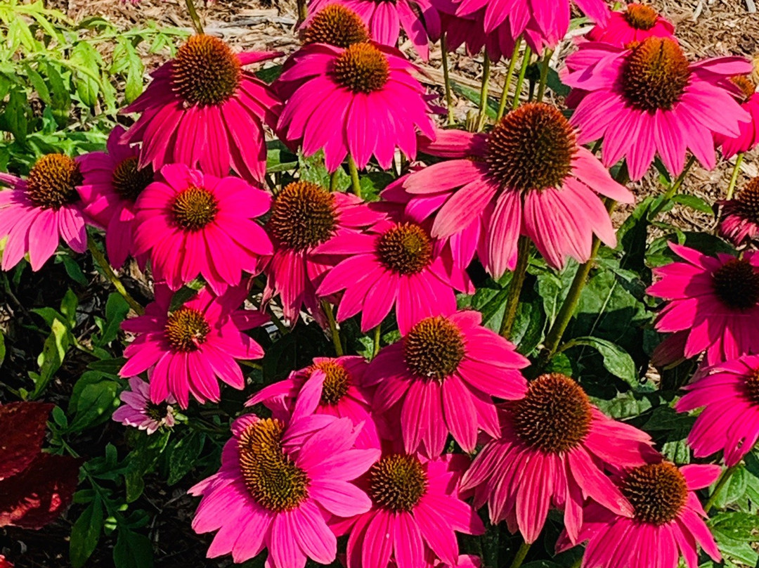 Lake Junaluska Golf Course-韦恩斯维尔必去景点