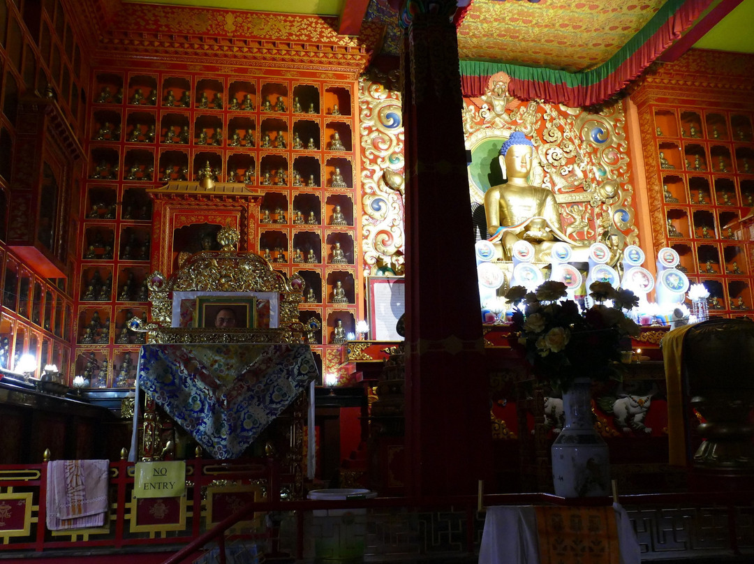 Bokar Ngedon Chokhor Ling Monastery景点图片