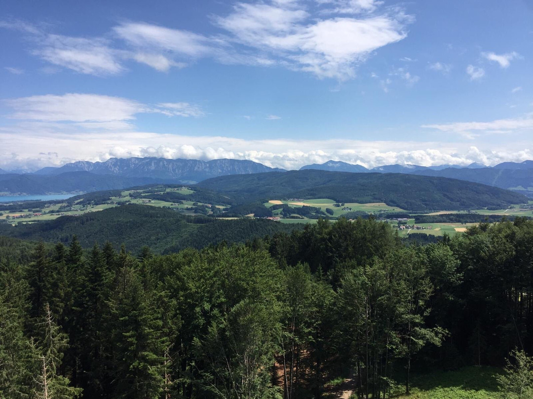 Aussichtsturm Lichtenberg-Lichtenberg必去景点