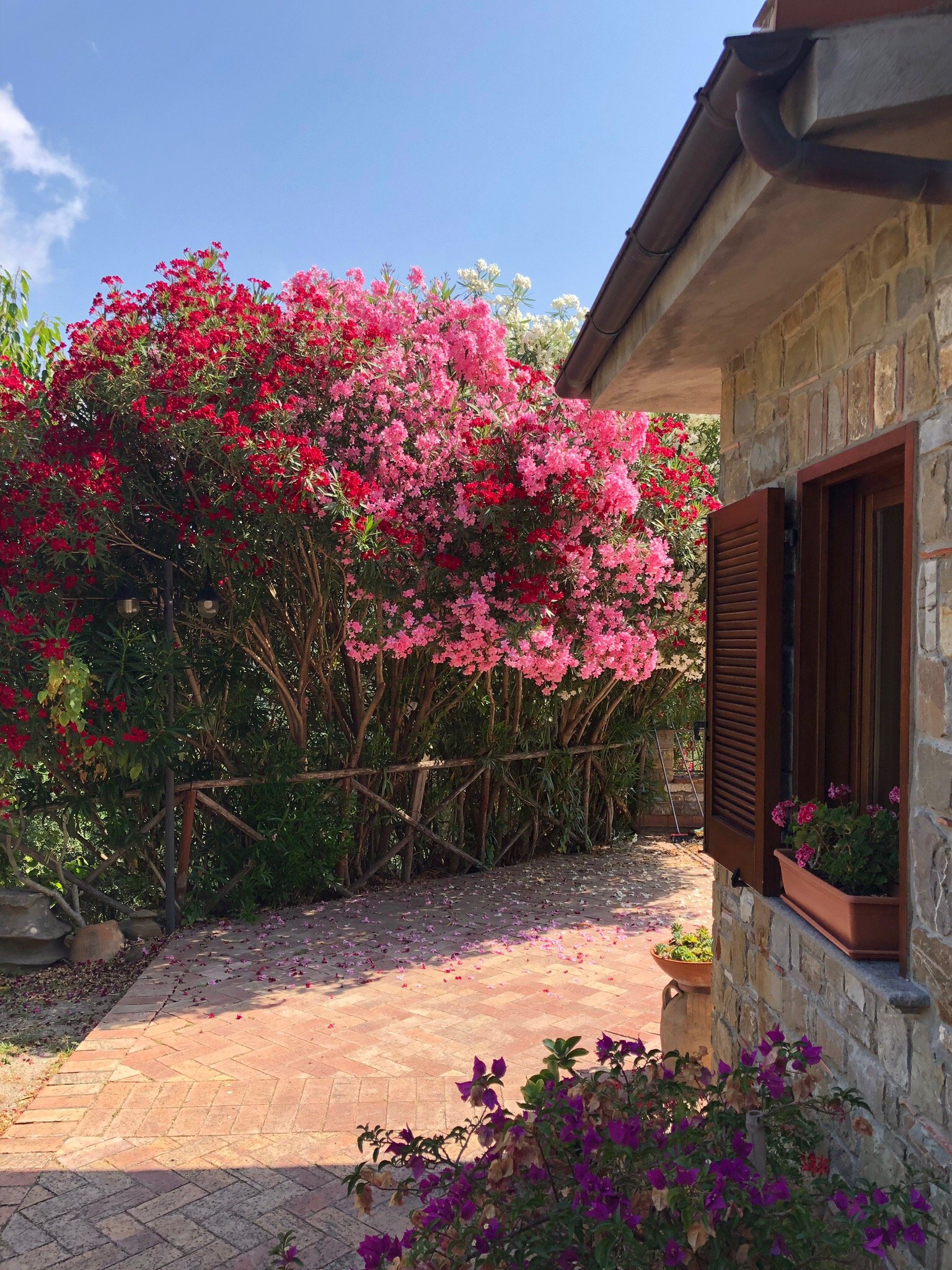 Agriturismo La Mancosa-官方