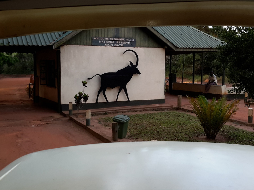 Jumbo Kenya Safaris景点图片