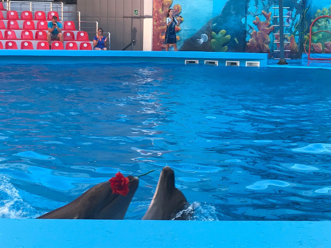 Dolphinarium Akvarel-阿卢什塔必去景点
