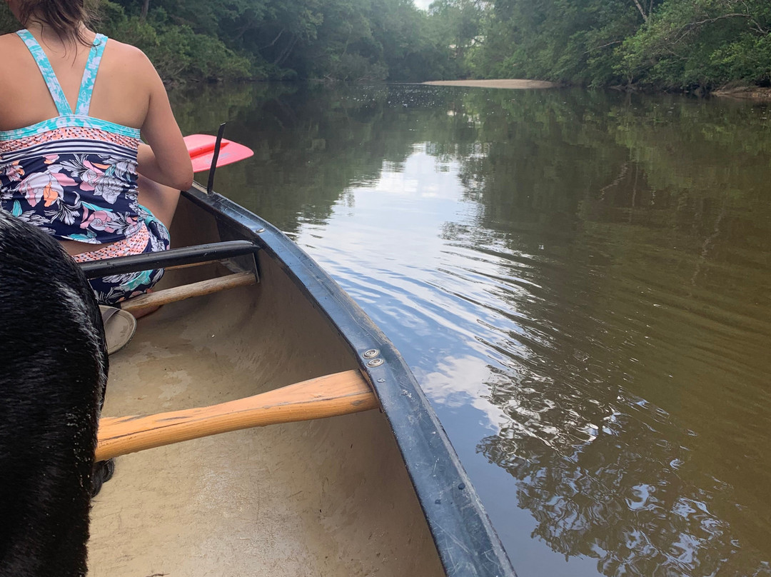 Black Creek Canoe Rental景点图片