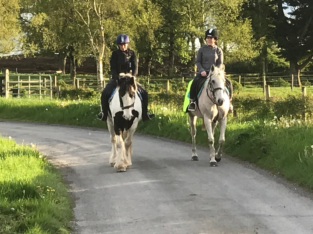 Birr Equestrian Centre-Birr必去景点