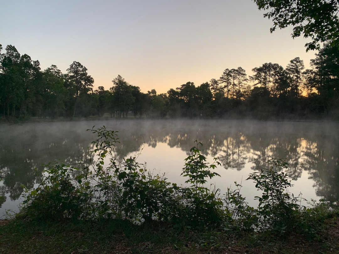 Meyer Park-斯普林必去景点