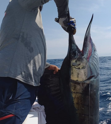 Los Reyes Sportfishing Charters-埃斯孔迪多港必去景点