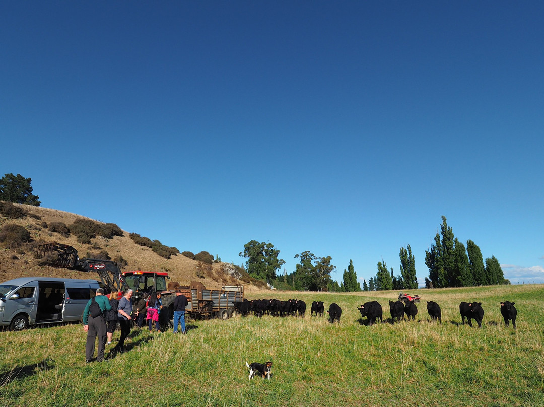 Hurunui Hills景点图片