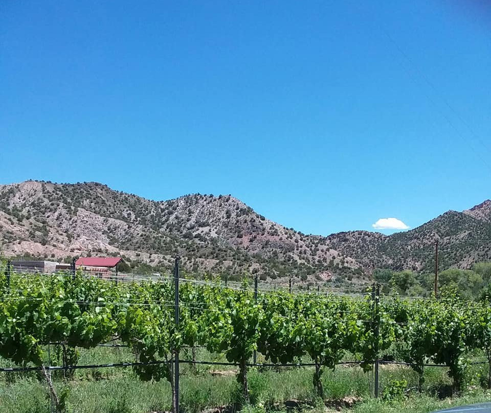 Vivác Winery-Dixon必去景点