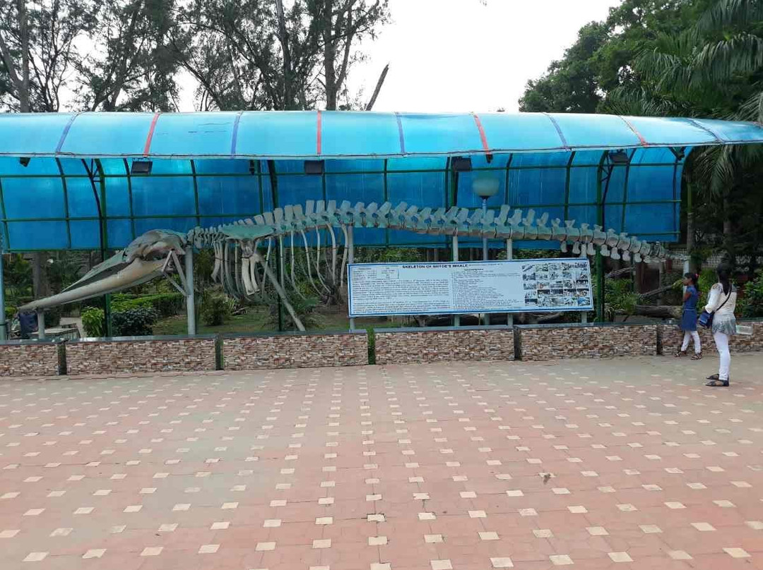 Marine Aquarium-Digha必去景点