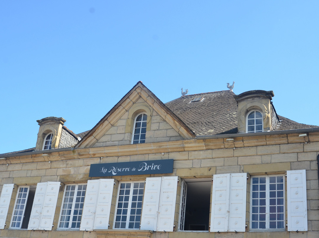Hôtel La Réserve de Brive主图