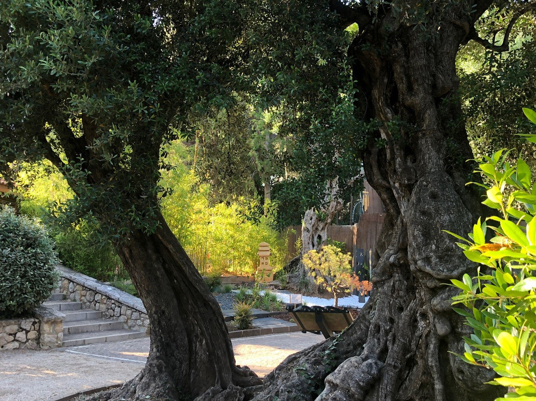 Parc du Cap Martin景点图片